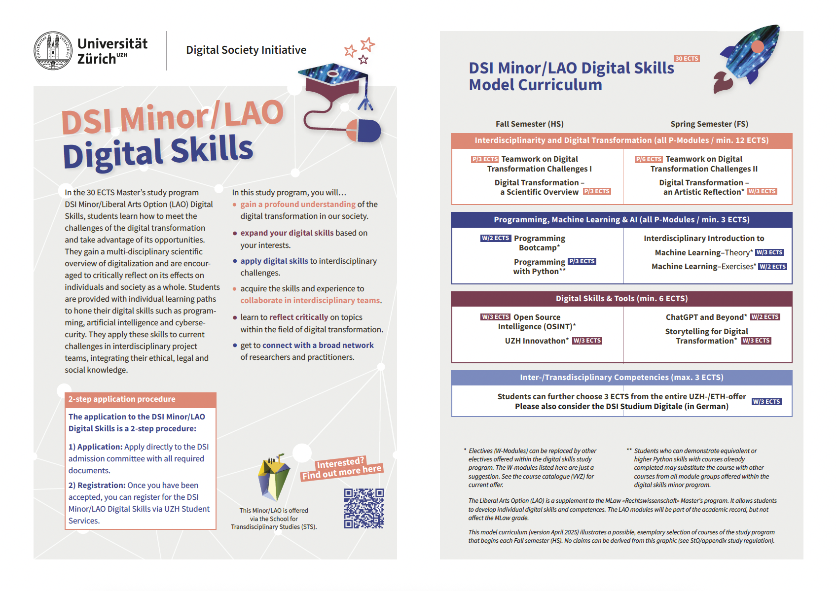 DSI Minor/LAO Digital Skills Flyer and Model Curriculum