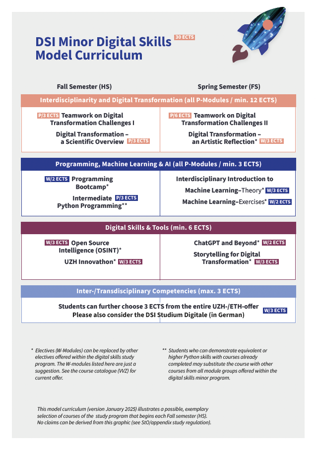 DSI Minor Digital Skills Model Curriculum Picture